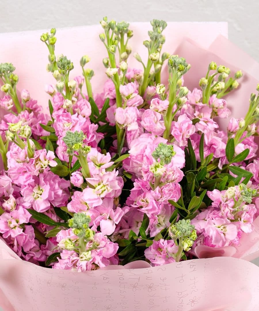 Букет из Маттиолы «Шарм Парижа»