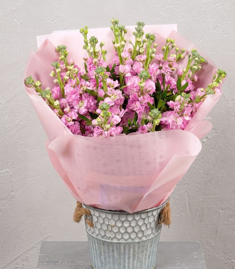 Букет из Маттиолы «Шарм Парижа»