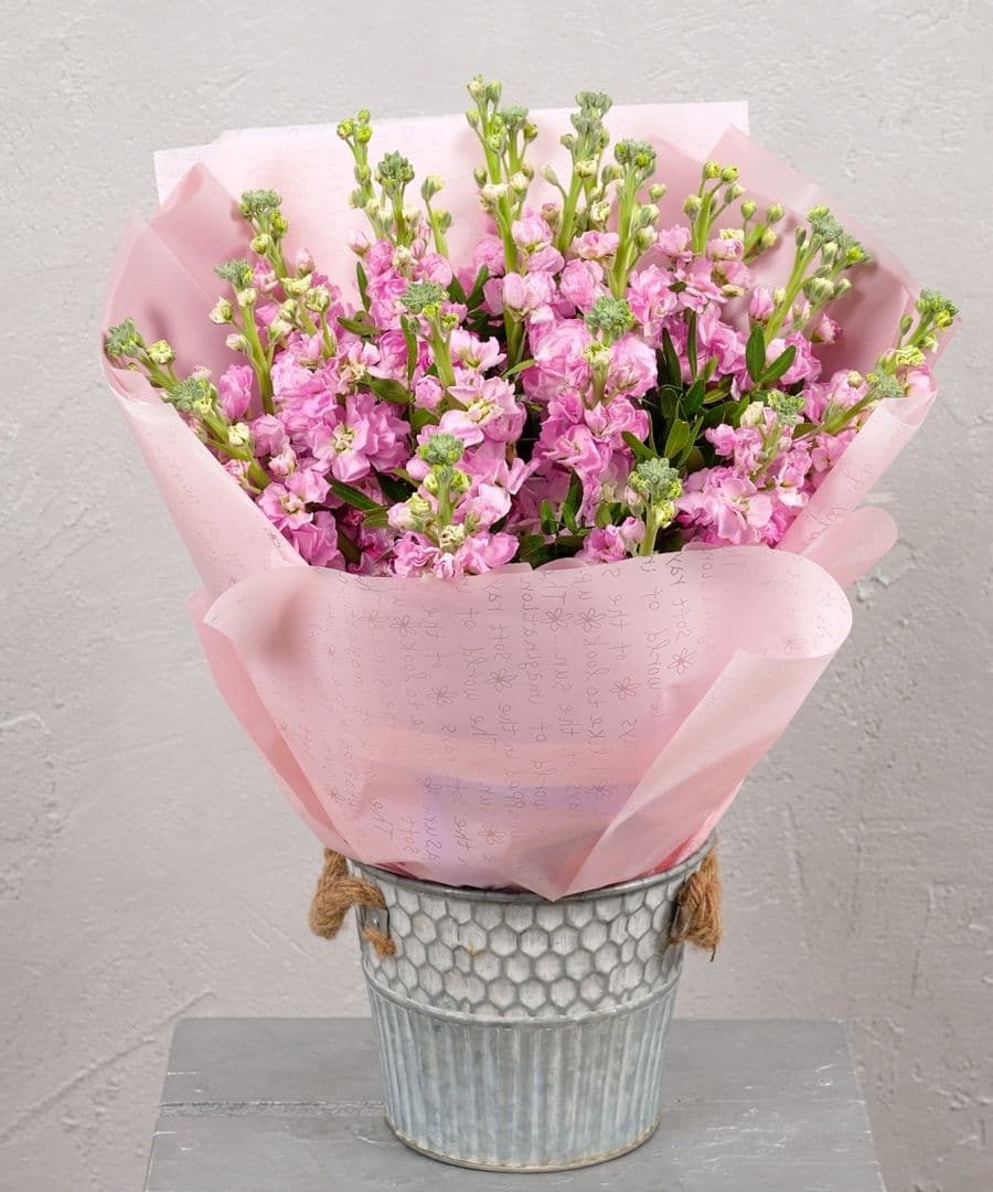 Букет из Маттиолы «Шарм Парижа»