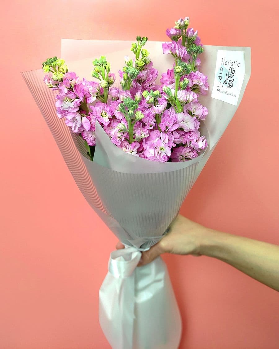 Букет из Розовых Маттиол «Августовская Ночь»