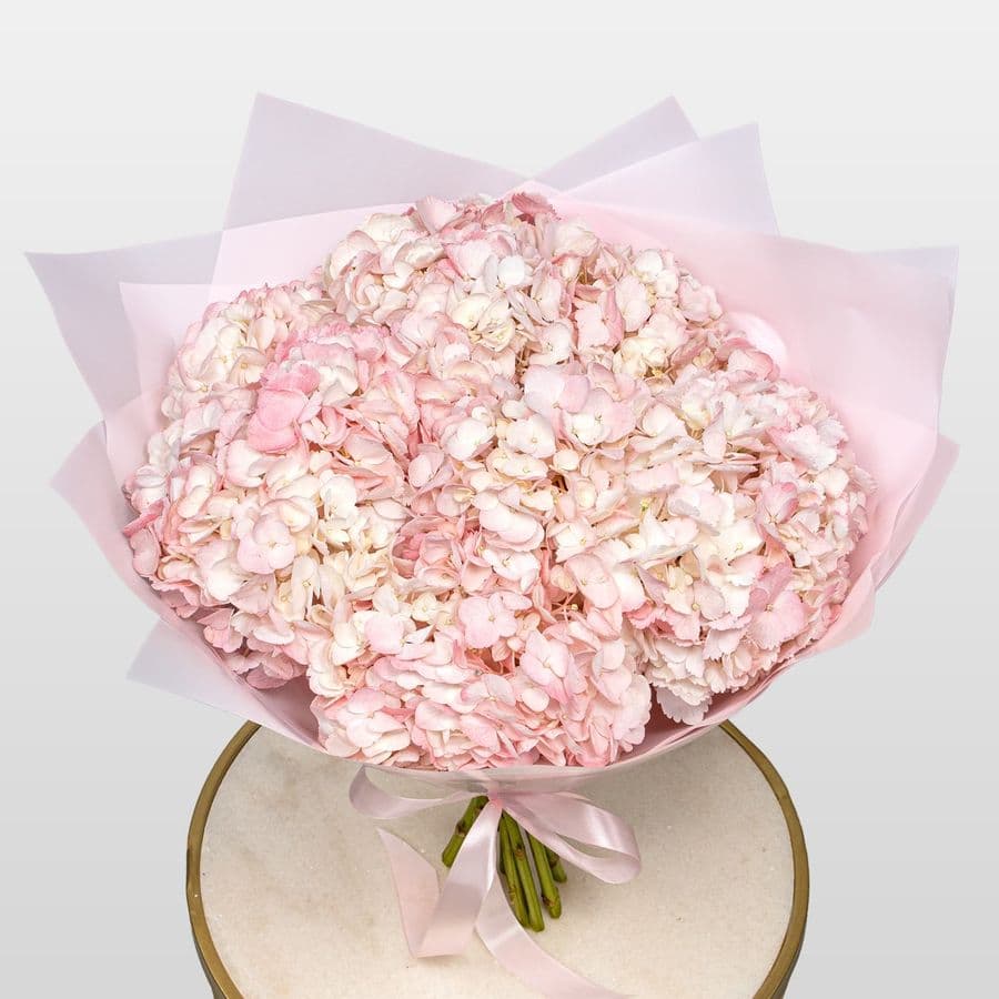 Букет из нежно-розовой Гортензии «Мечты Анны»