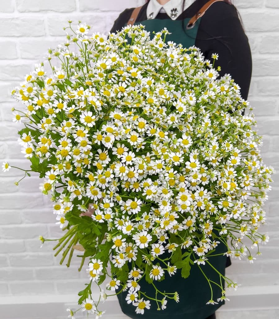 Букет из 31 Ромашки «Нежные ромашки»