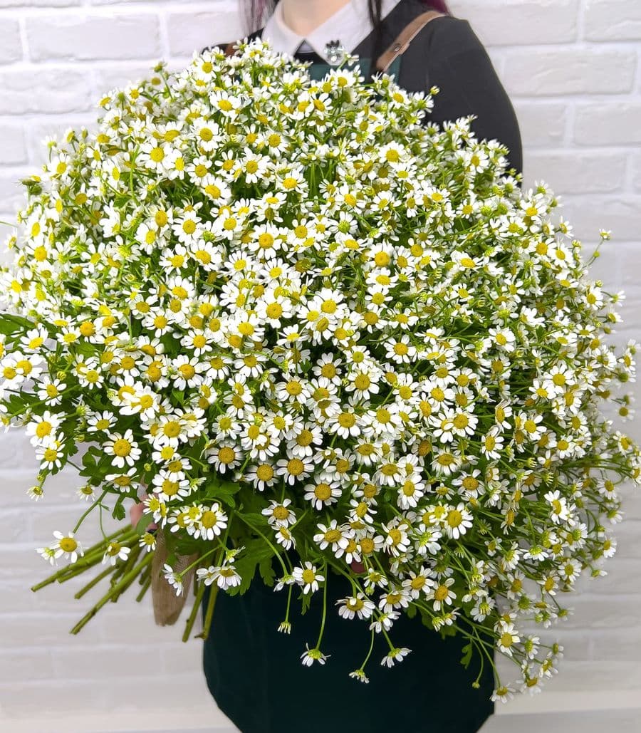 Букет из 51 Ромашки «Летний день»