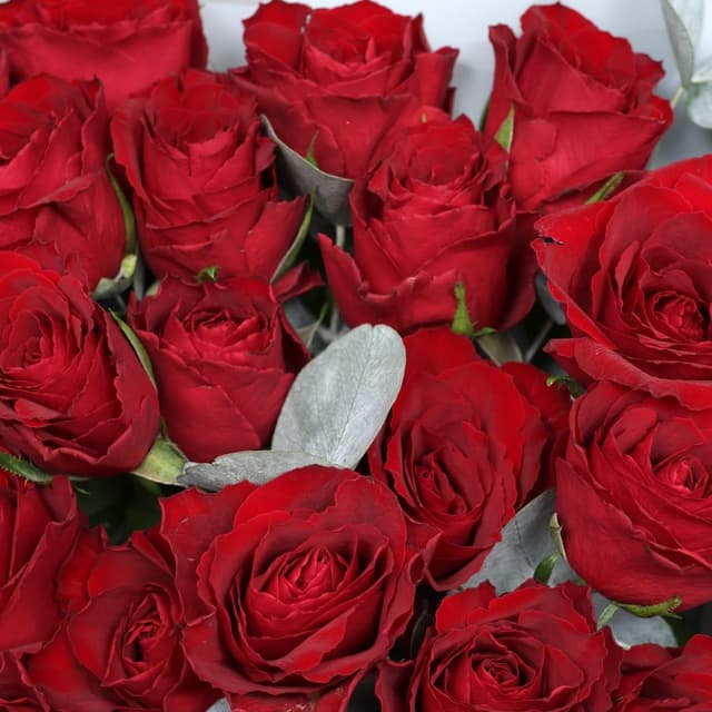 Букет красных кенийских роз с эвкалиптом «Лучшей»
