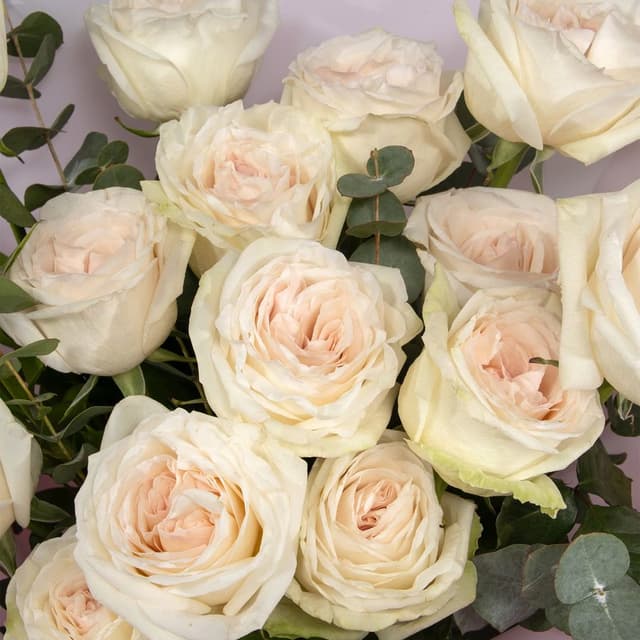 Букет из Роз Вайт ОХара с эвкалиптом «Утонченной»