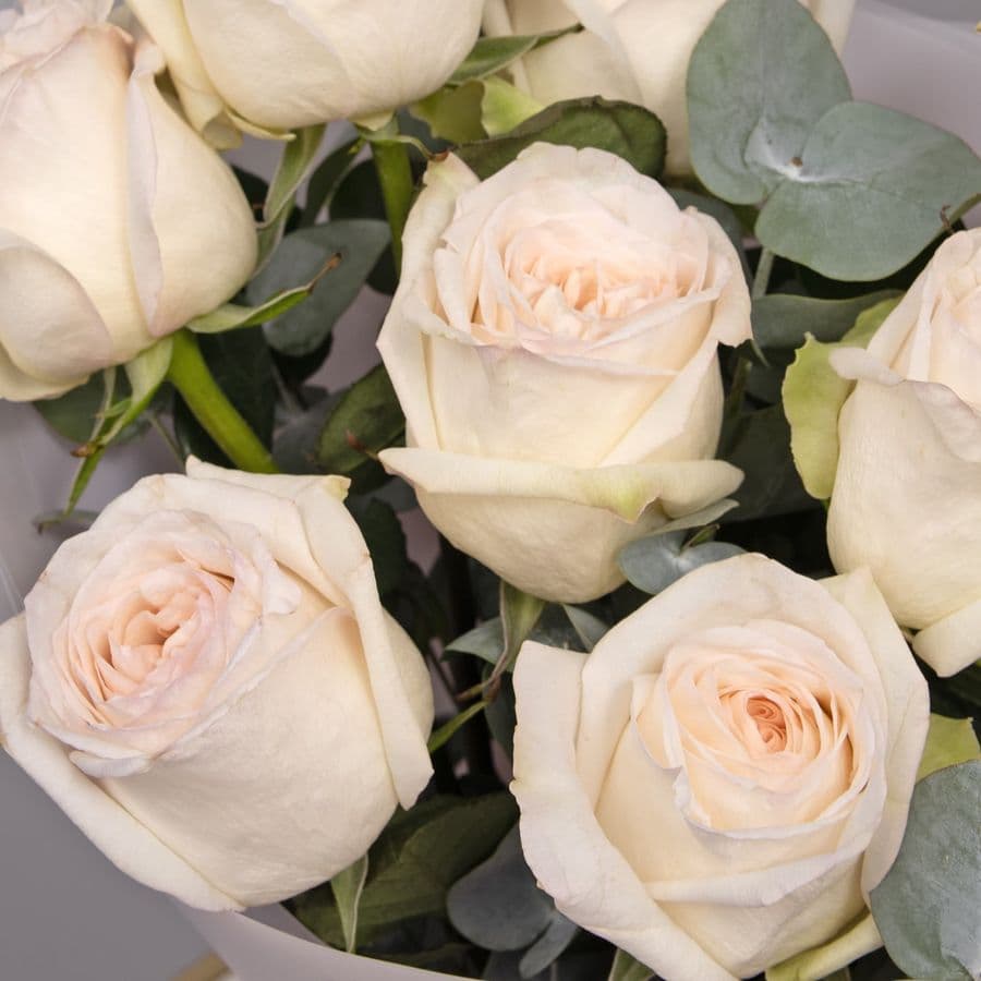 Букет из Розы Вайт ОХара с эвкалиптом «Кокетливой»