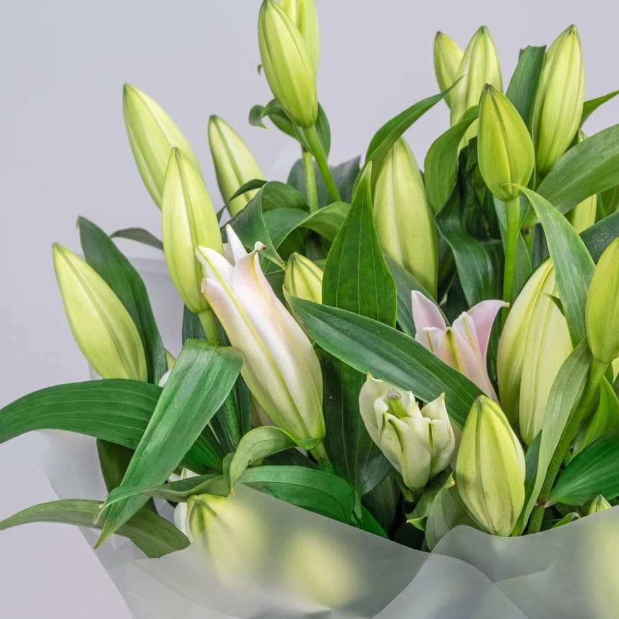 Букет из Белой лилии 11 шт «Стильной»