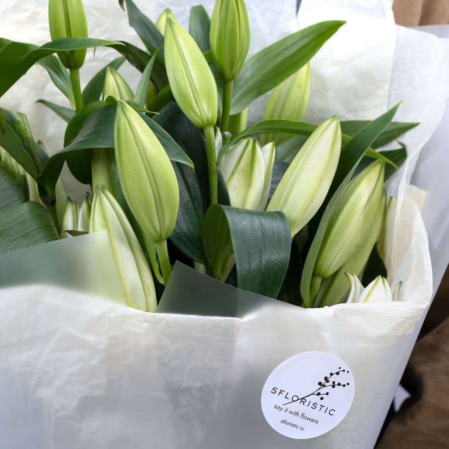 Букет из белой Лилии 5 шт «Элегантной»