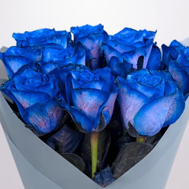 Букет из синих роз 60 см 11 шт «Морской Бриз»