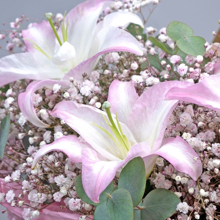 Корзина из Гипсофилы и Лилии в корзине «Дыханье ветра»