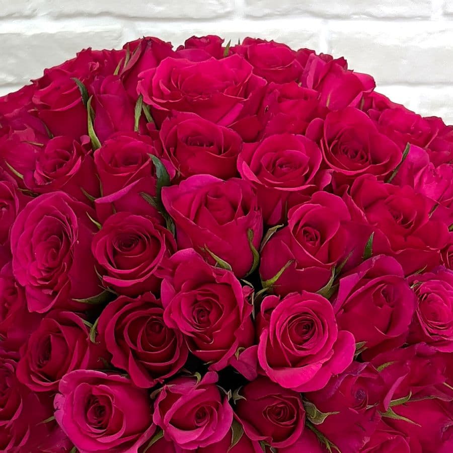 Малиновая роза Кения в коробке 51 шт «Вечная любовь»