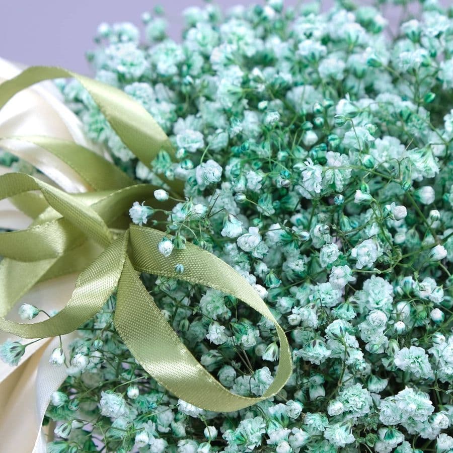 Композиция из Гипсофилы «Зеленая Сакура»