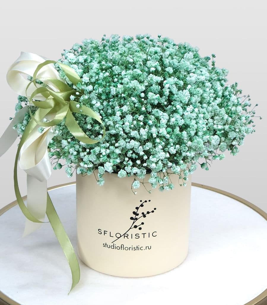 Композиция из Гипсофилы «Зеленая Сакура»