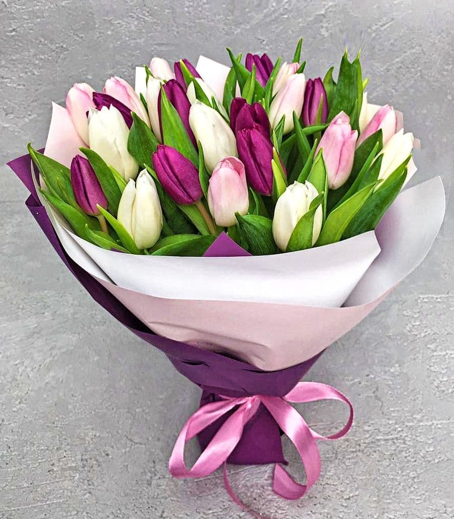 Букет из Тюльпанов 25 шт «Понимающей»