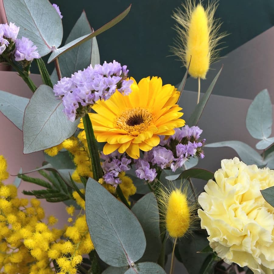 Букет из гвоздики и гермини «Чистосердечной»