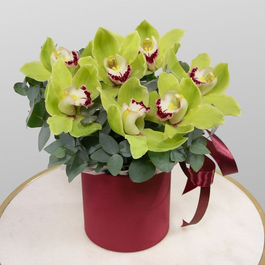 Букет из Гортензии, Гвоздики, Орхидеи «Белоснежный зефир»