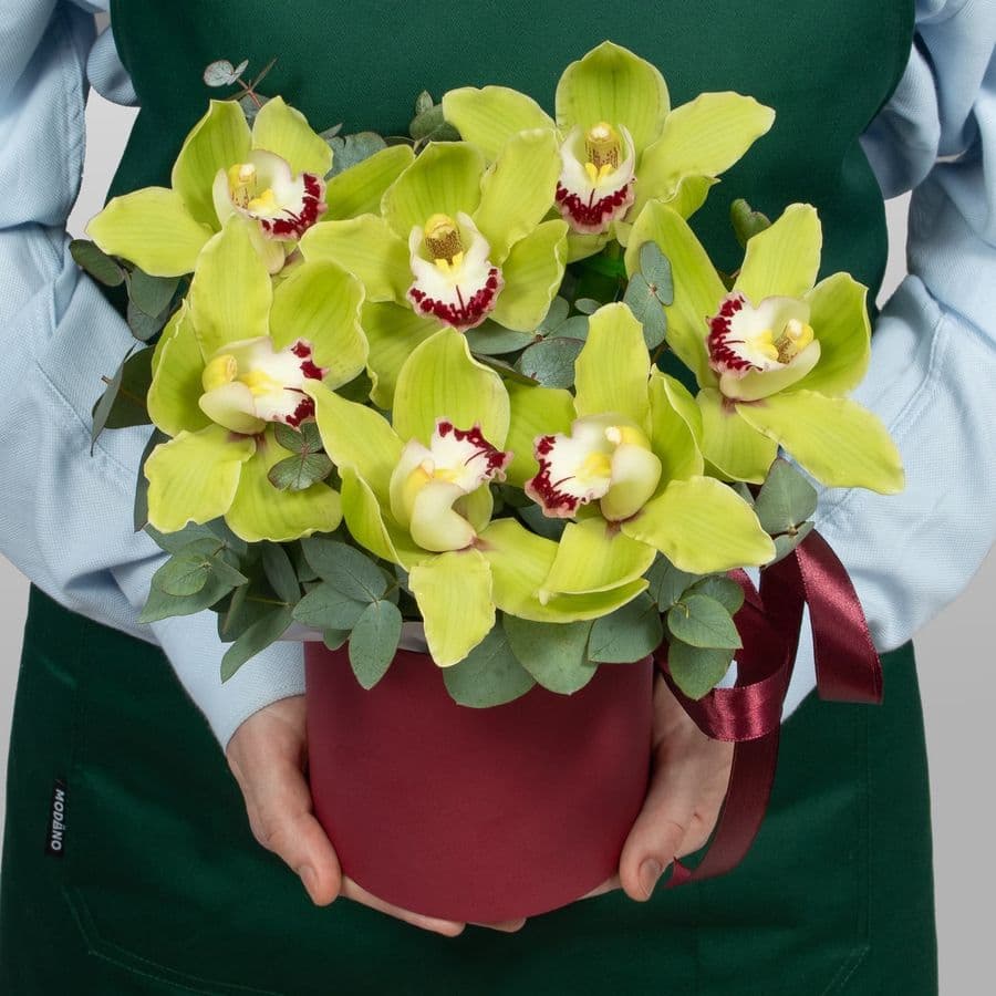 Букет из Гортензии, Гвоздики, Орхидеи «Белоснежный зефир»