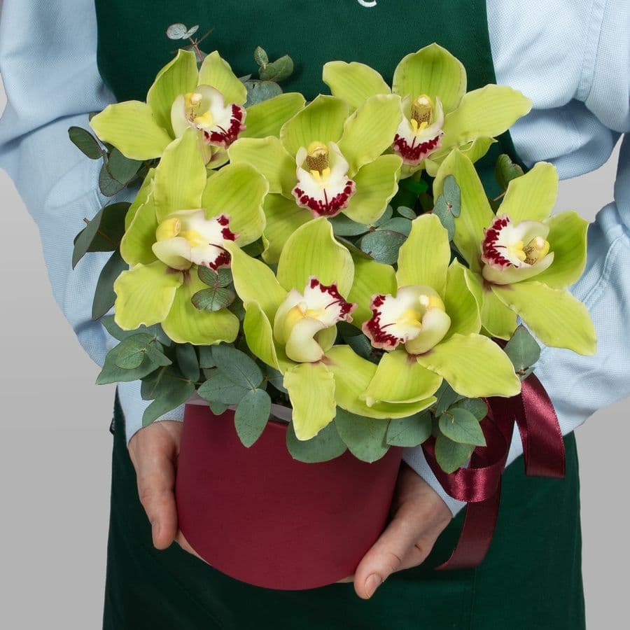 Букет из Гортензии, Гвоздики, Орхидеи «Белоснежный зефир»