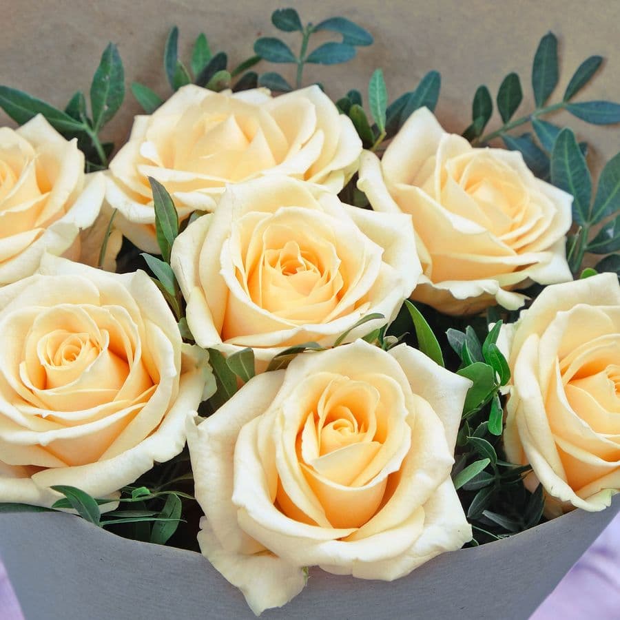 Букет из кремовых Роз 60 см «Тефида»