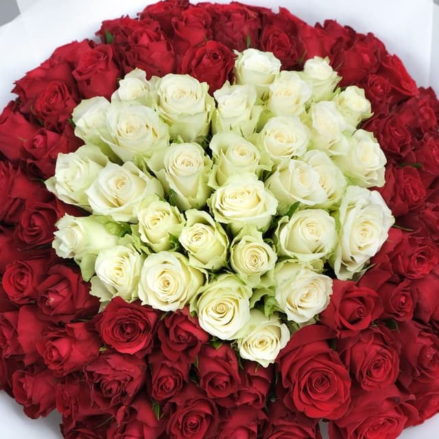 Букет из красно-белых Роз «Белла»