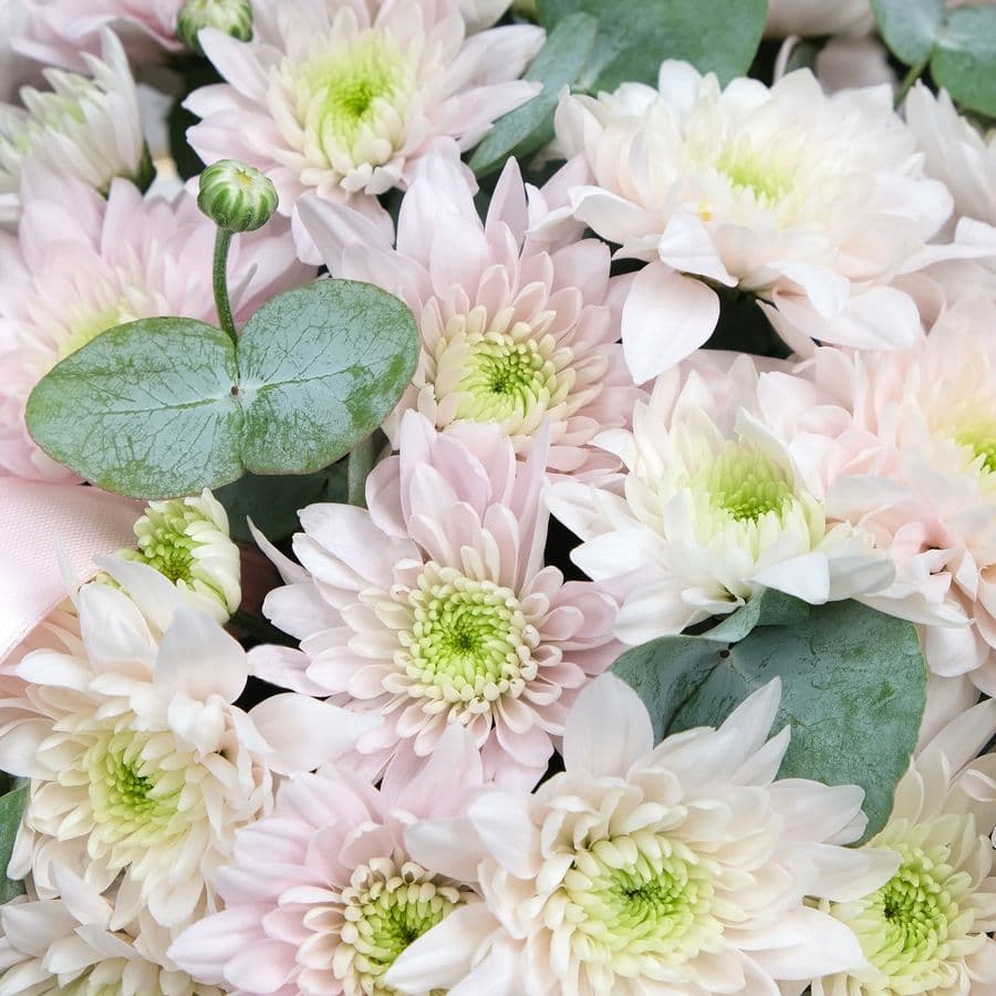 Композиция из Хризантемы 7 шт «Море любви» с эвкалиптом