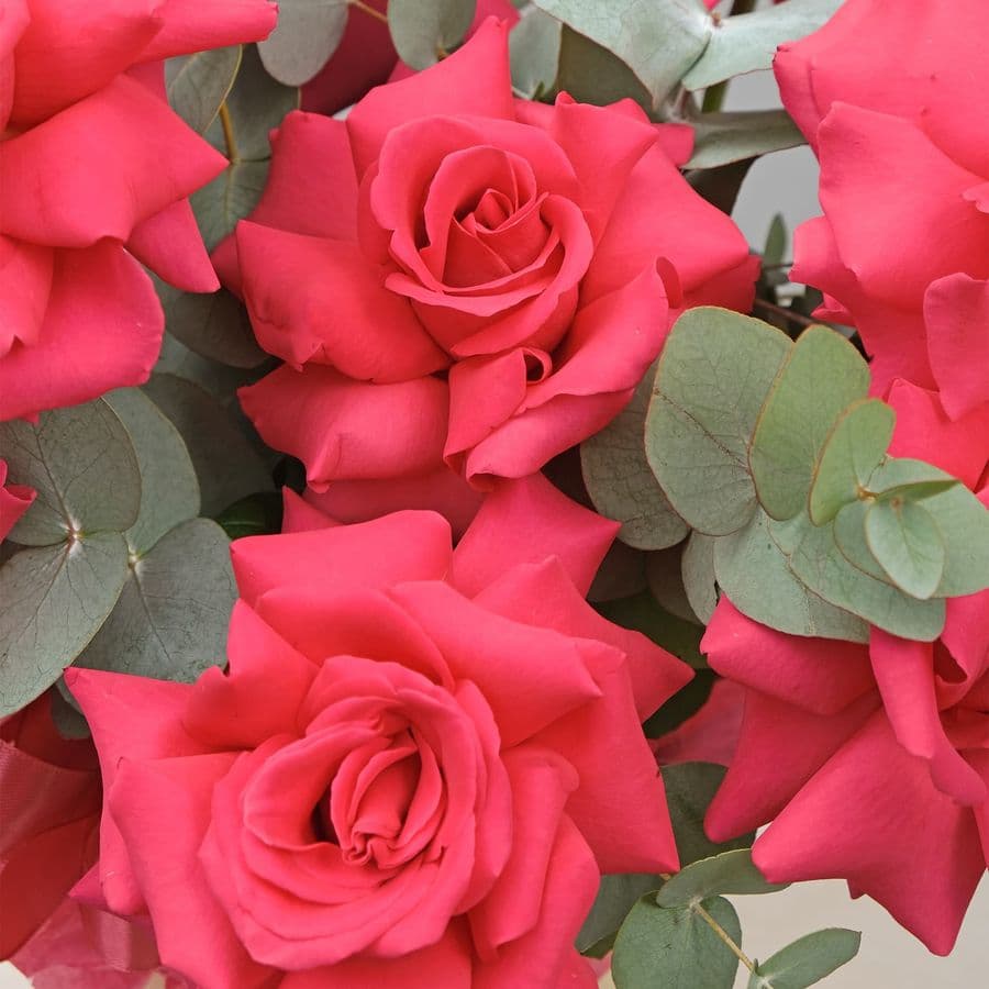 Композиция из Роз «Романтика»