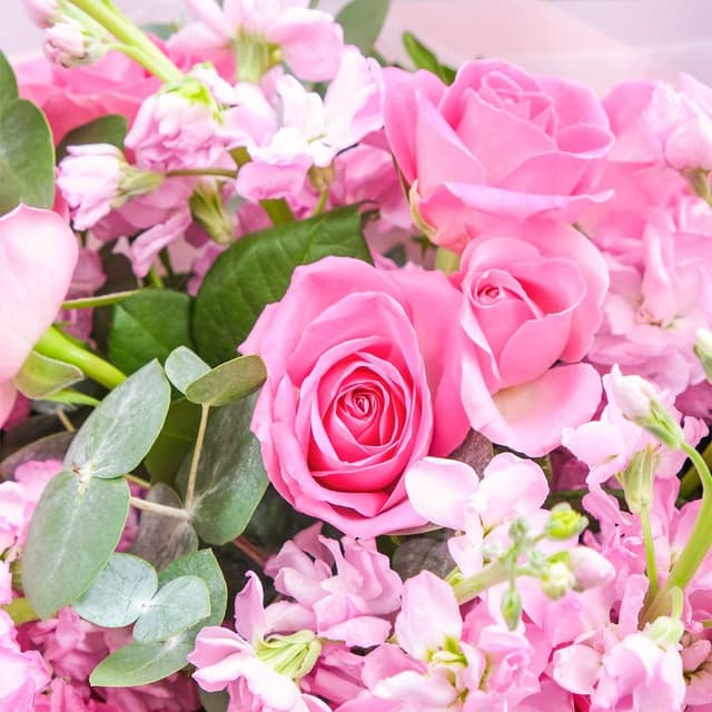 Букет из Роз и Маттиол «Розовая Красота»