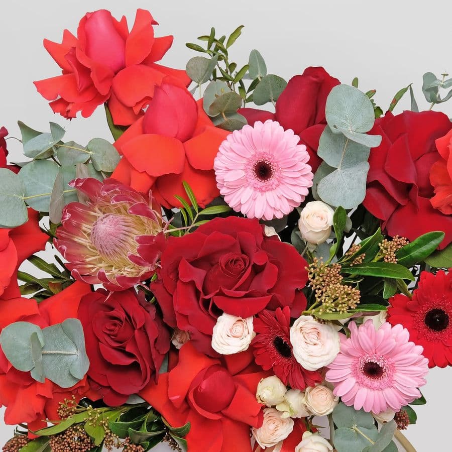 Композиция из Роз, Гермини и Протеи «Танец любви»