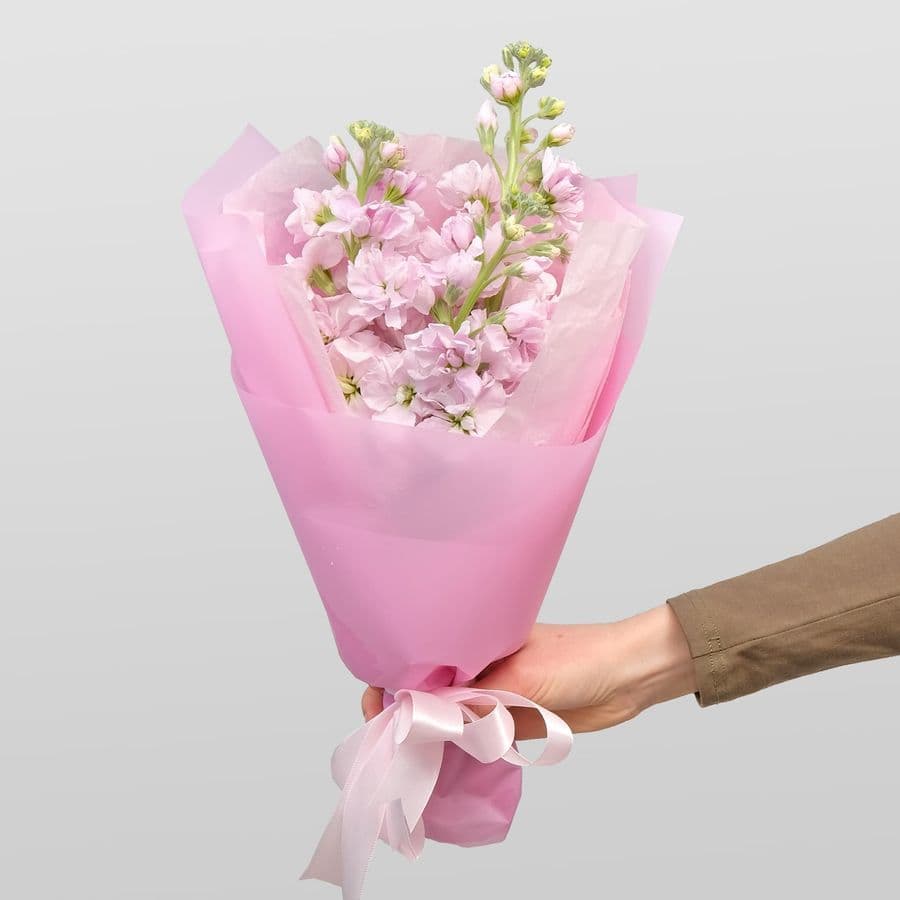 Букет Маттиол «Розовый зефир»