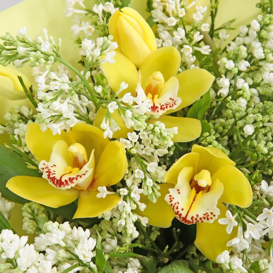 Букет из Сирени, Тюльпанов и Орхидей «Утренние лучи»