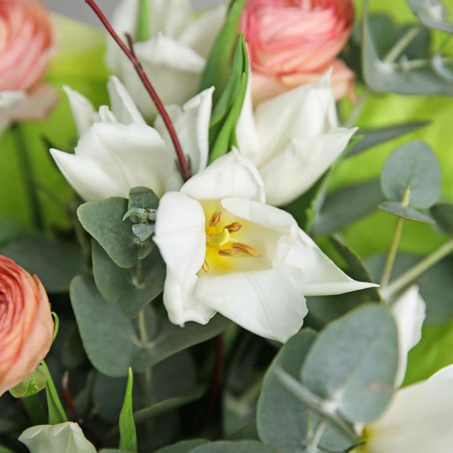 Букет из Ранункулюсов и Тюльпанов «Нежный взгляд»