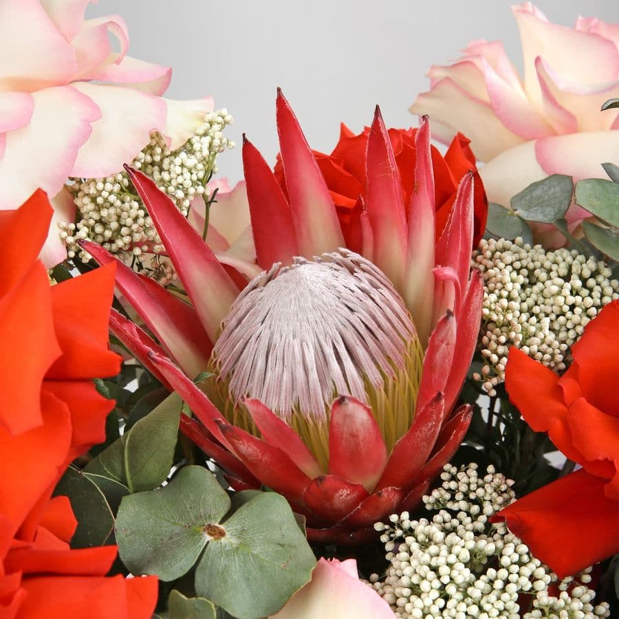 Композиция из Роз Эквадор, Протеи и Озотамнуса «Мираж»