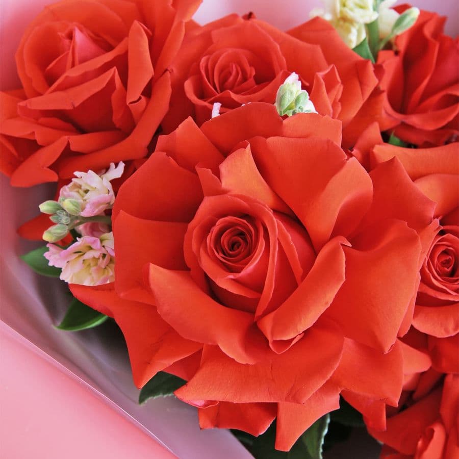 Букет из Роз Эквадор и Маттиолы «Конфитюр»