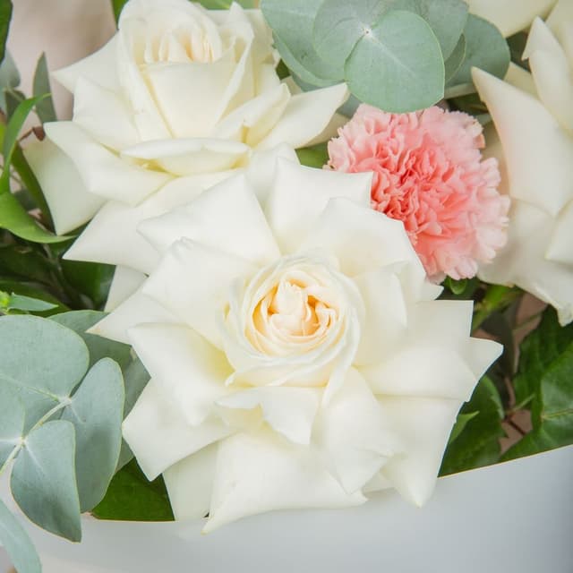 Букет Роз Эквадор и Диантуса «Сказочная мелодия»