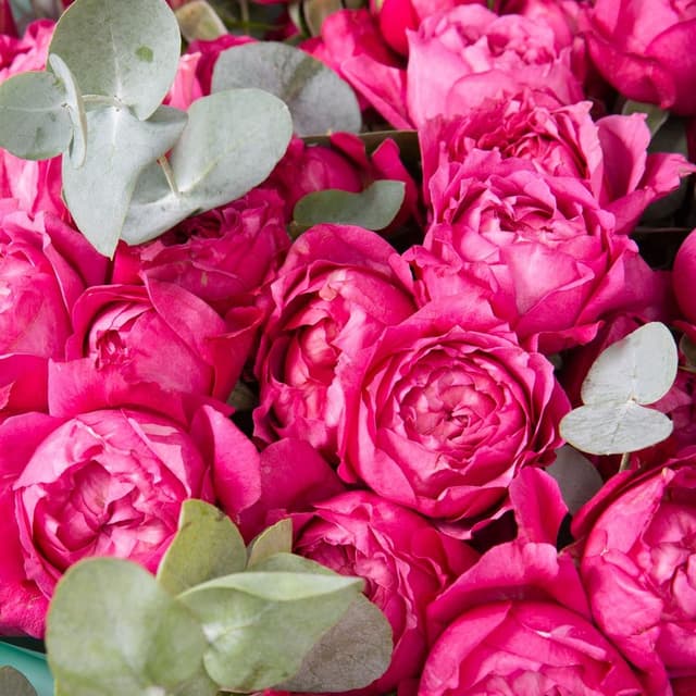 Букет Кустовых Роз «Вдохновение Любви»