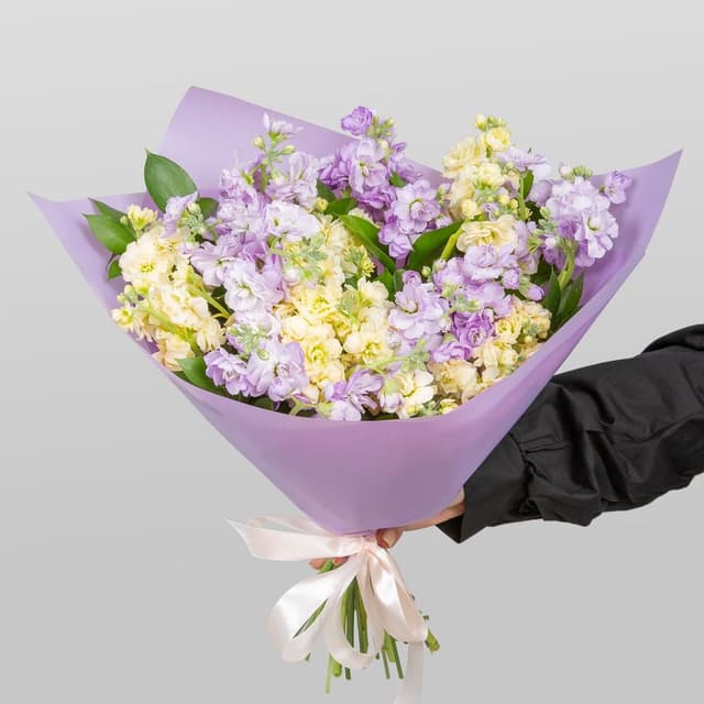 Букет из кустовых Маттиол «Светлая Мечта»