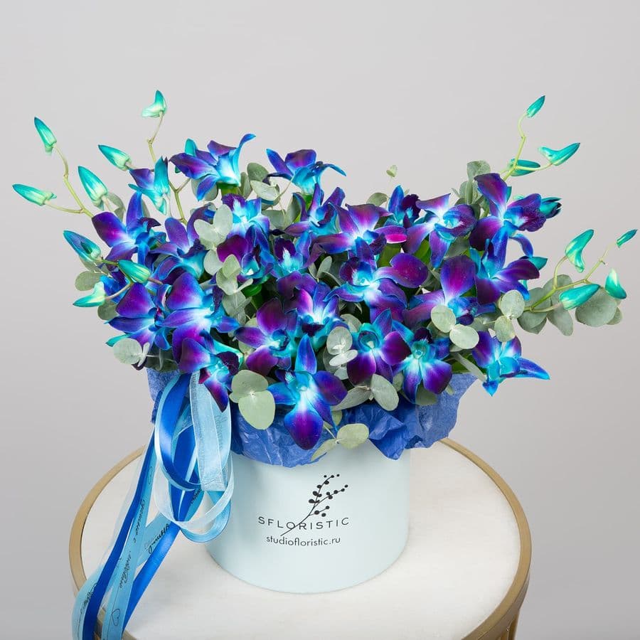 Композиция из синих Орхидей в шляпной коробке «Звездная Ночь»