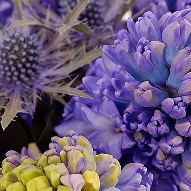 Букет из Гиацинтов и Чертополоха «Императорский сад»