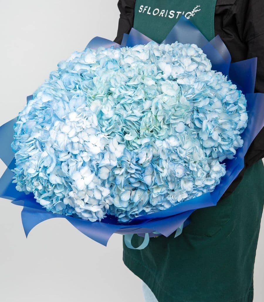 Букет Гортензий 15 шт «Нежные грёзы»