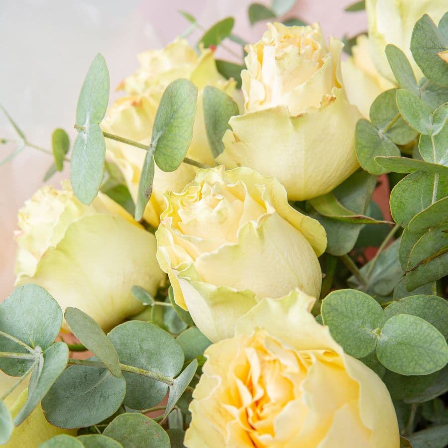 Букет Роз Эквадор «Очарование природы»