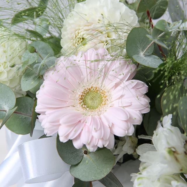 Композиция из Георгин и Гермини в шляпной коробке «Любовь в Цветах»