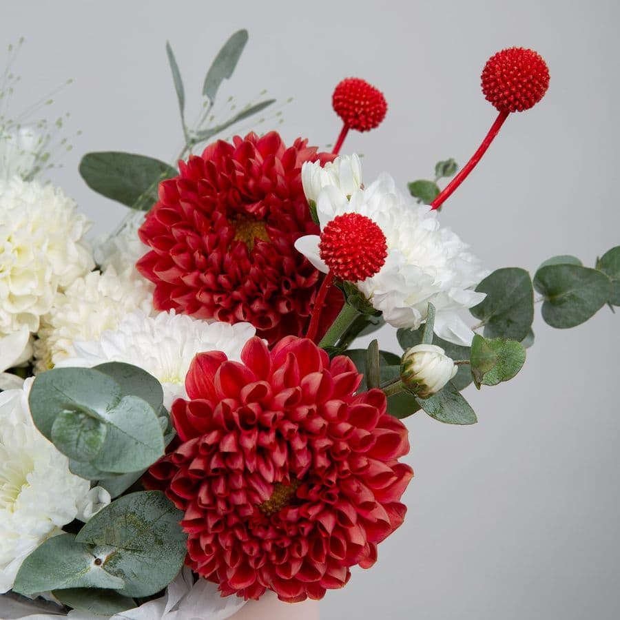 Композиция из Георгин и Хризантем «Звенящий вечер»