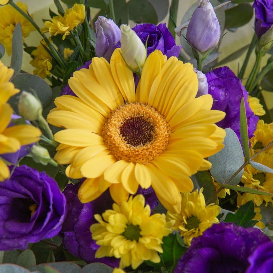 Букет из Гермини, Эустомы и Хризантемы «Дружба и Успех»