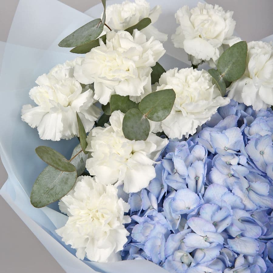 Букет из Гвоздик и Гортензий «Лунный восторг»