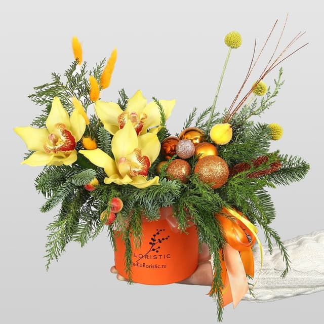 Новогодняя композиция из Нобилиса в шляпной коробке «Зимний закат»