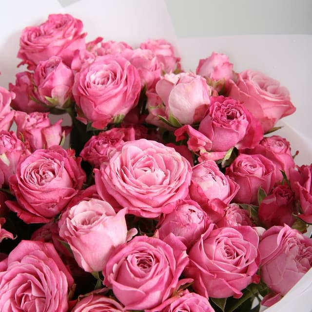 Букет Пионовидных Роз «Ренессанс»