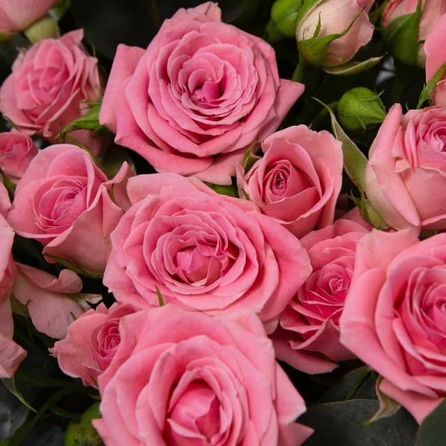 Композиция из Кустовых Роз в шляпной коробке «Теплое утро»