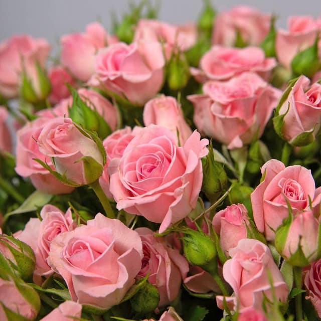 Композиция из Кустовых Роз в шляпной коробке «Сердечный вздох»