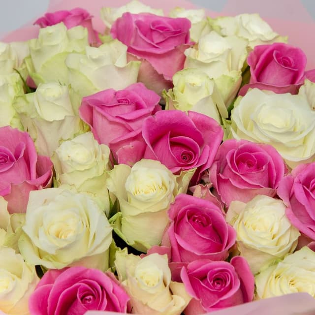 Букет Роз Кения 31 шт «Малина со сливками»