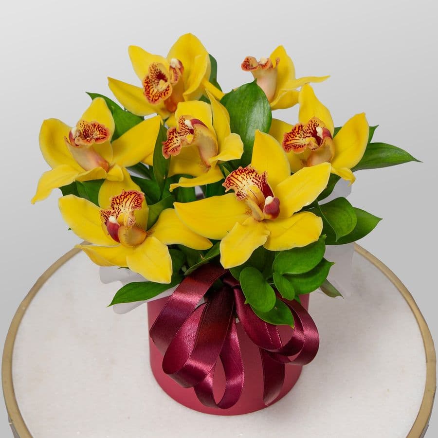 Композиция из Орхидей в шляпной коробке «Тепло тропиков»